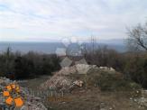 TEREN, KOSTRENA, PAVEKI, 1500m2