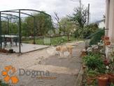KUĆA,CRIKVENICA, GRIŽANE,140m2